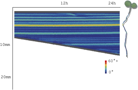 Figure 5.