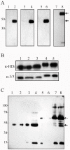 FIG. 1