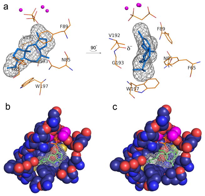 Figure 5