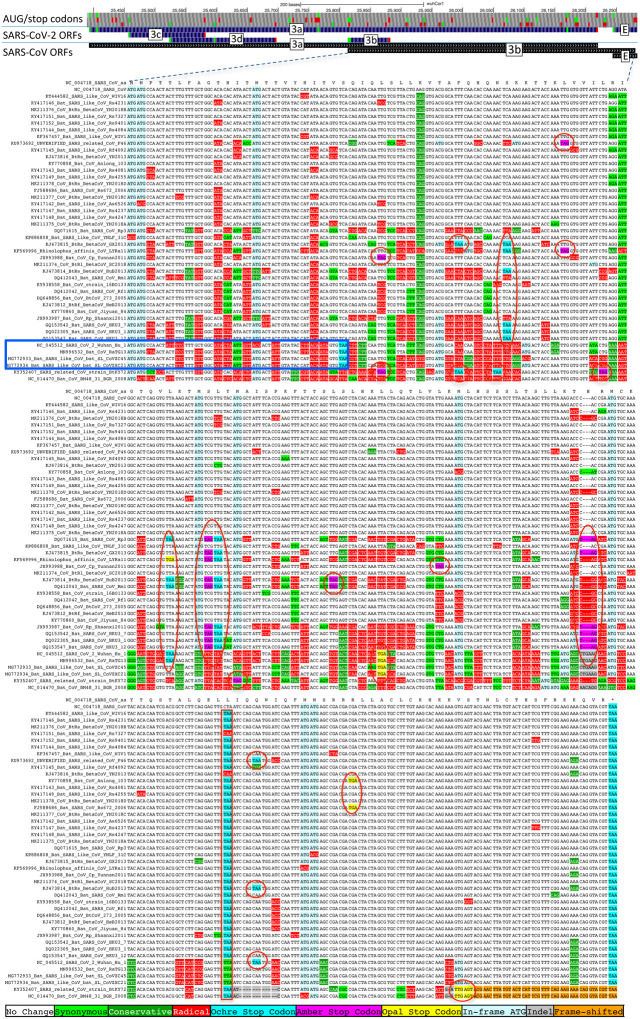 Extended Data Figure 6.