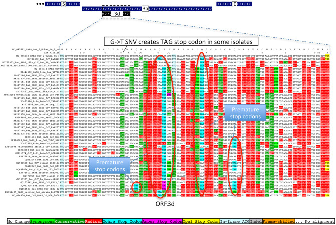 Extended Data Figure 7.