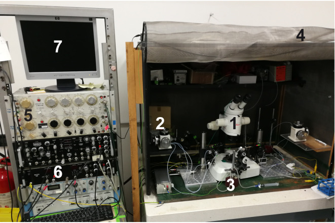 Figure 3.