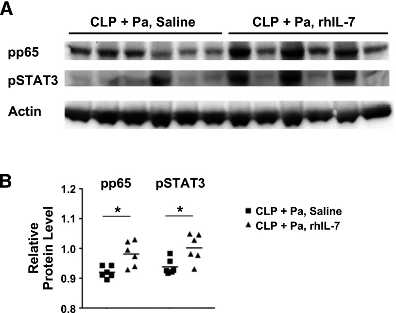 Figure 7.