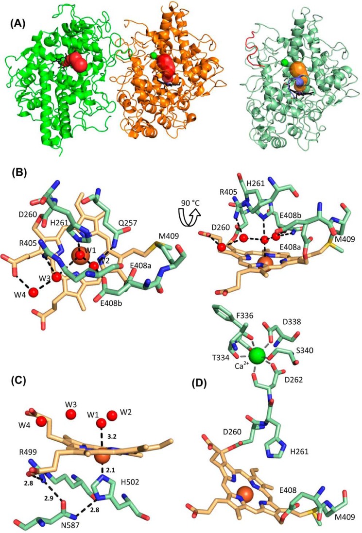 Figure 5.