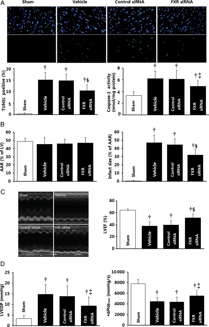 Figure 7