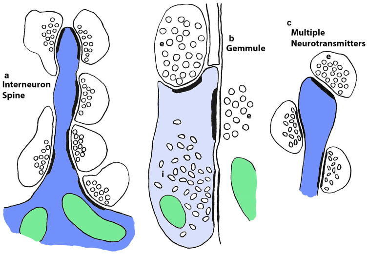 Fig. 8