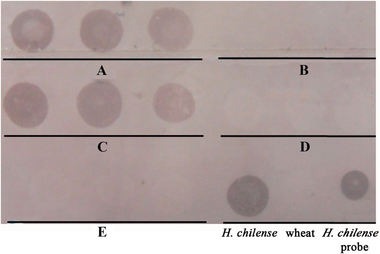 Fig. 5