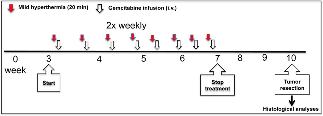 Schematic 1