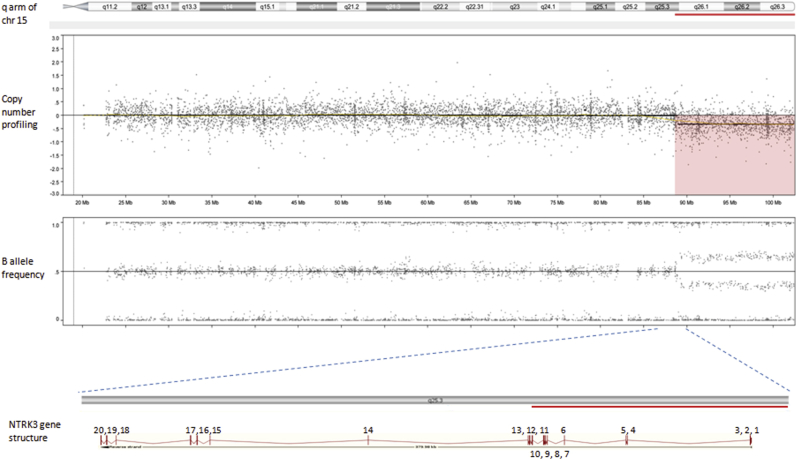 Figure 3