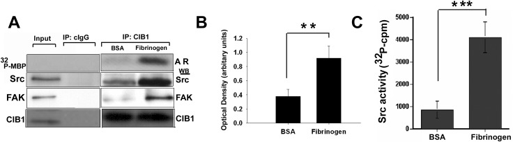 Fig 5