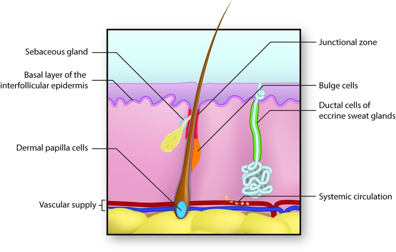 Figure 7.