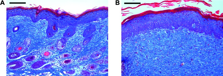 Figure 9.