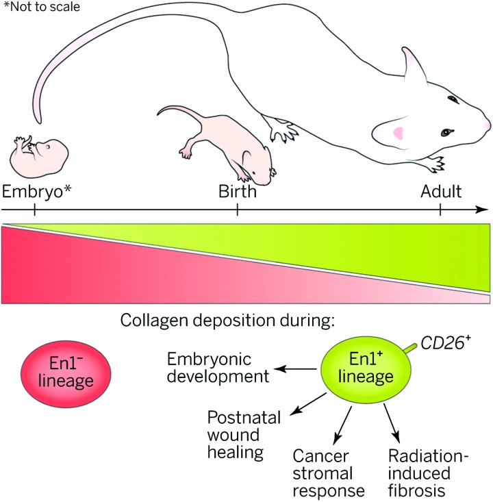 Figure 10.