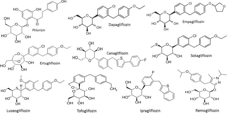 Fig. 1