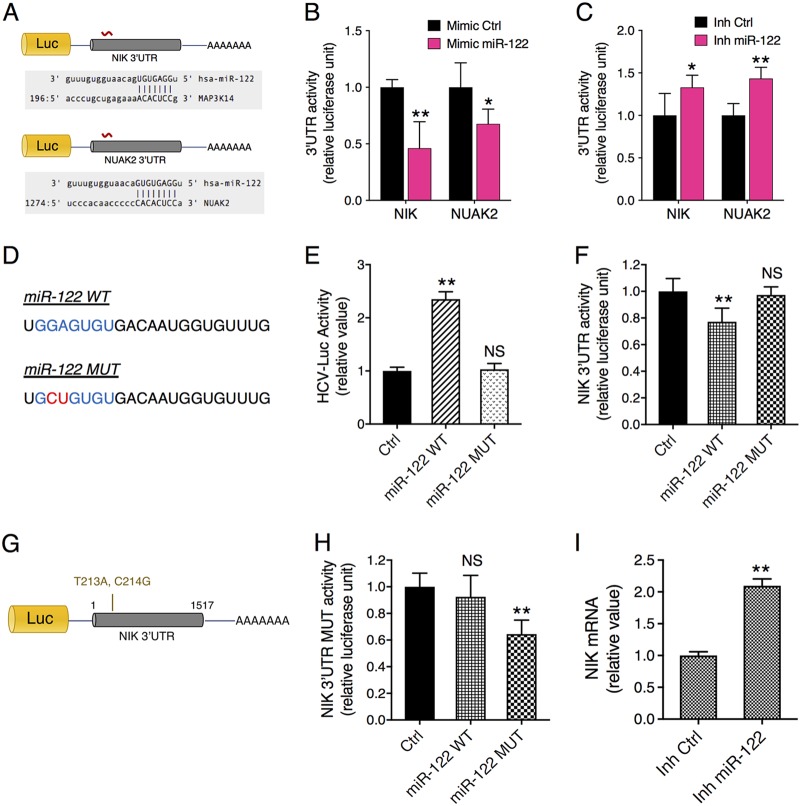 FIG 6