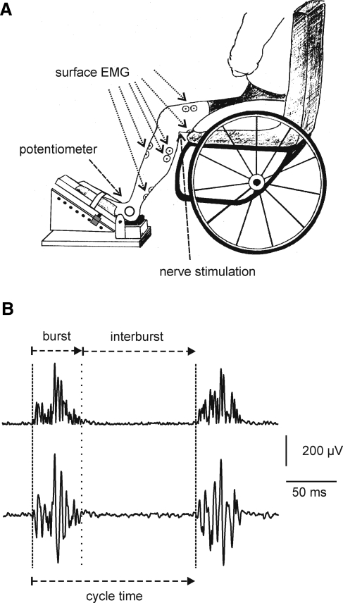 FIG. 1.