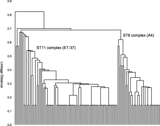 FIG. 7.