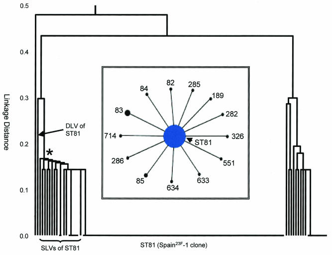 FIG. 1.