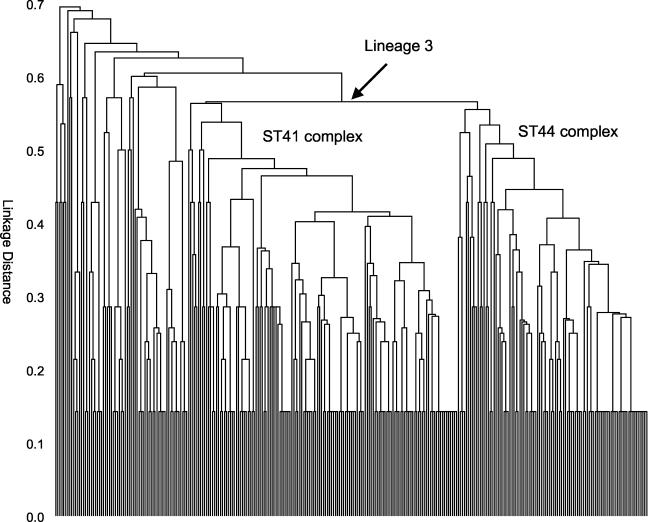 FIG. 9.