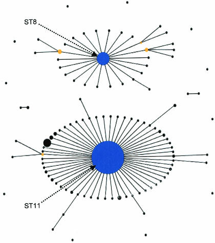 FIG. 8.