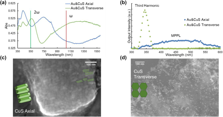 Figure 1: