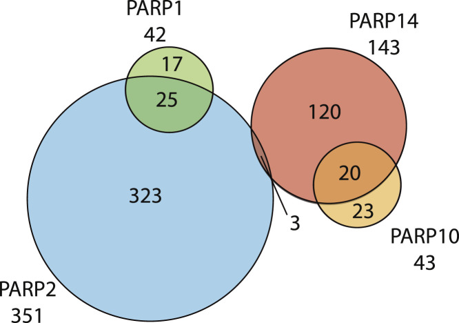 Figure 5