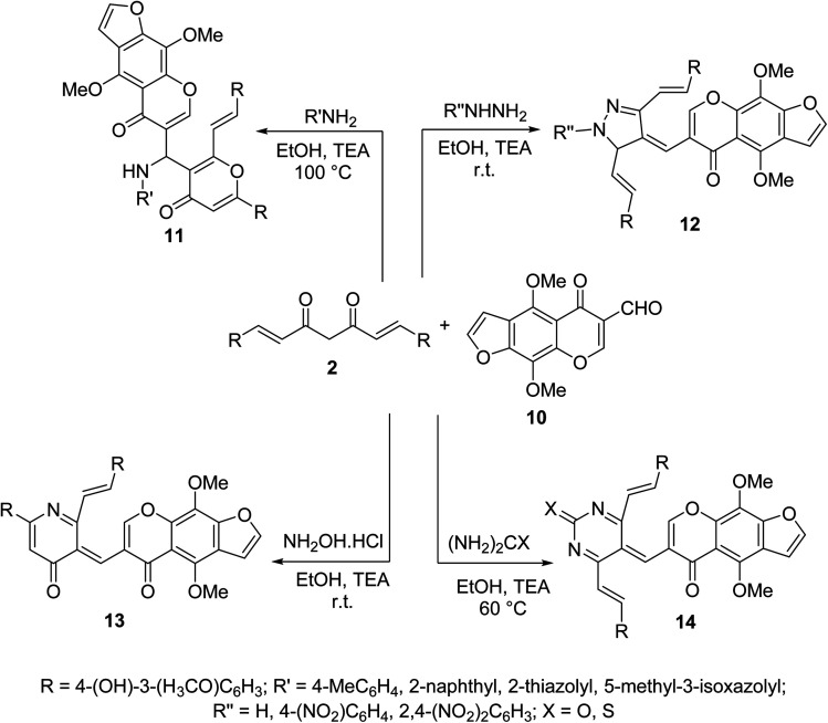 Scheme 5