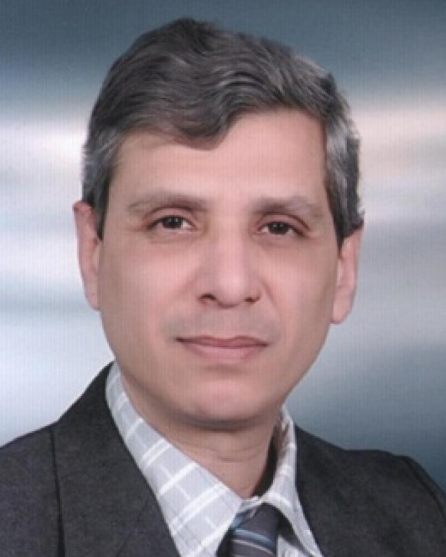 Adel S. Girgis