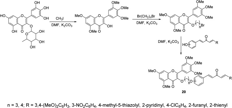Scheme 7