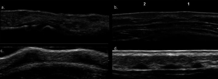 Fig. 5