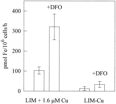 FIG. 5