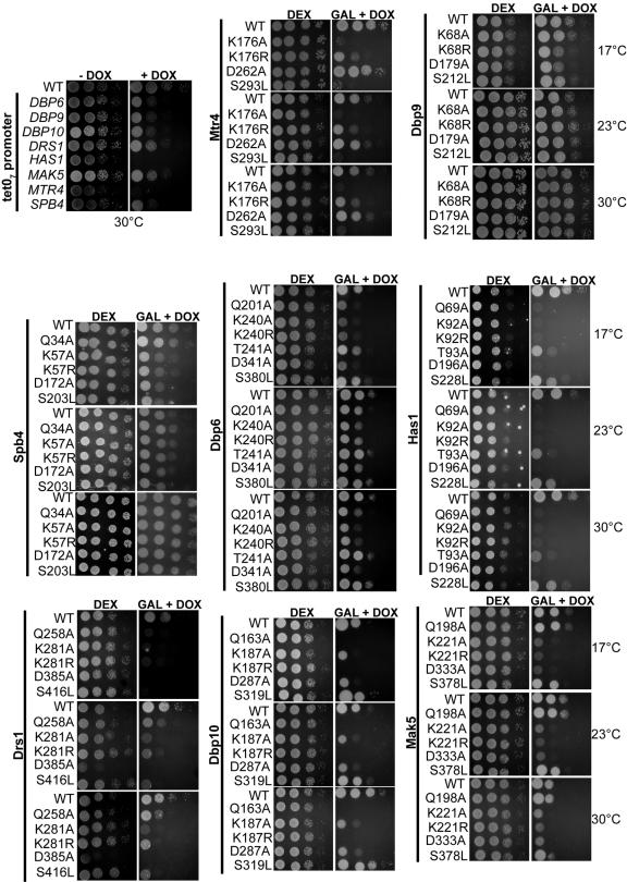 FIG. 6.