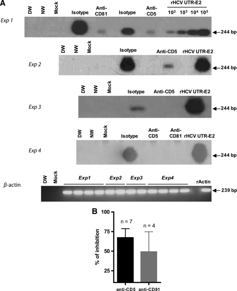 Fig 8