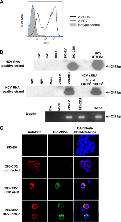 Fig 10