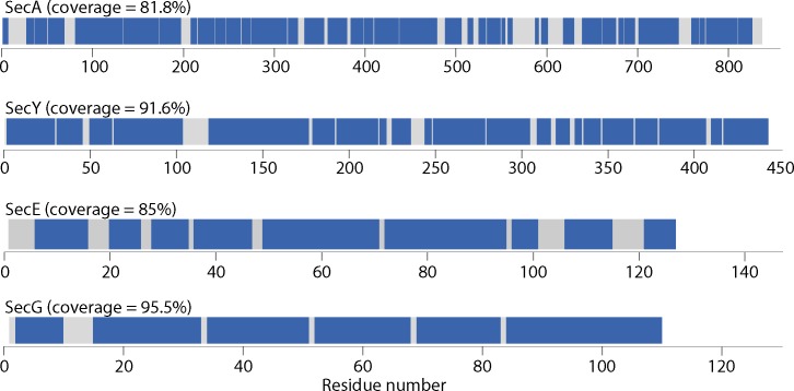 Figure 2—figure supplement 1.