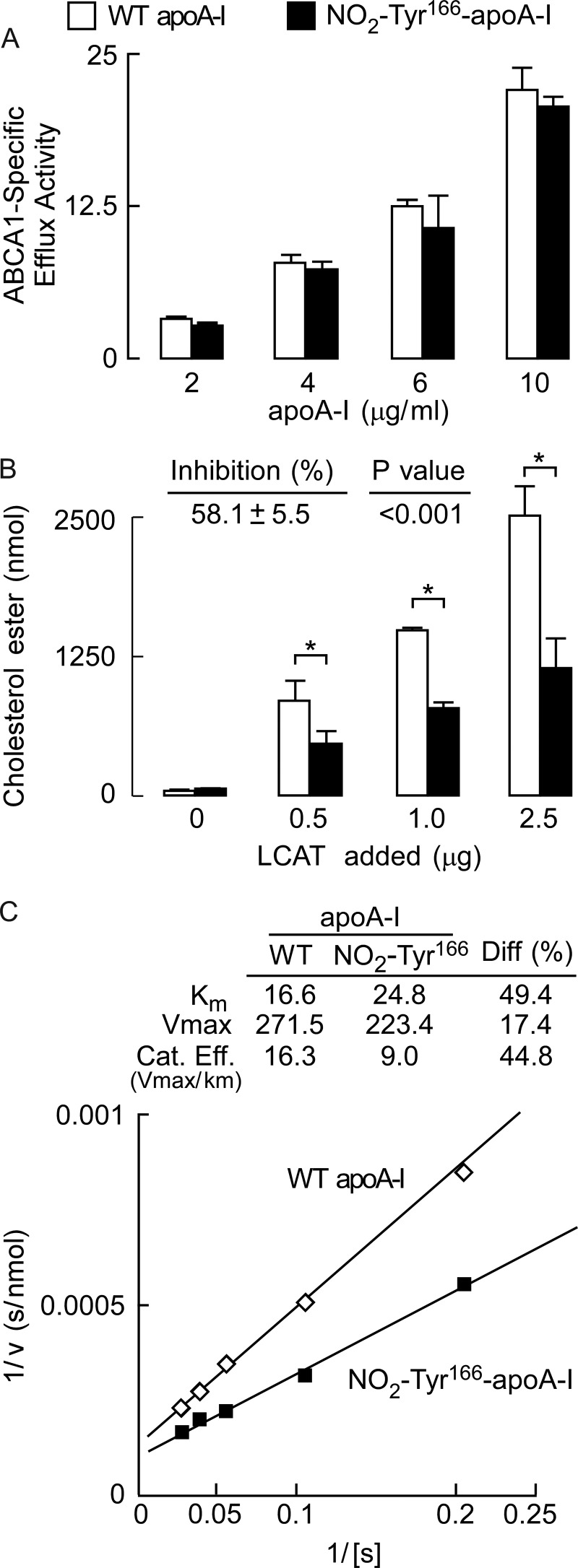 FIGURE 12.