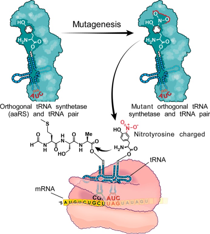 FIGURE 10.