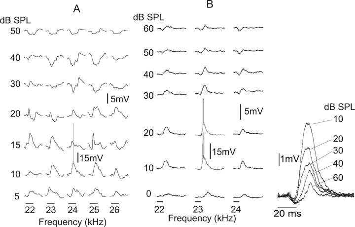 Figure 11.