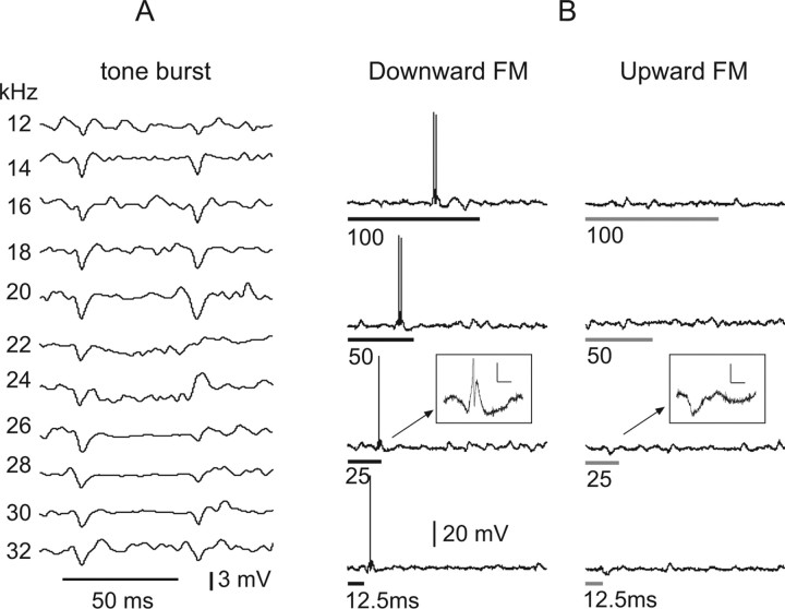 Figure 12.