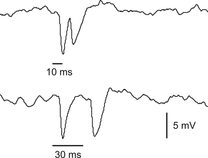 Figure 9.