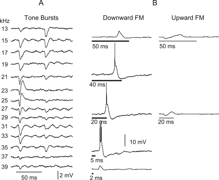 Figure 13.