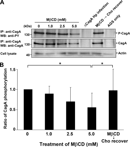 FIG. 5.