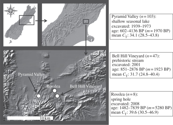 Figure 2.