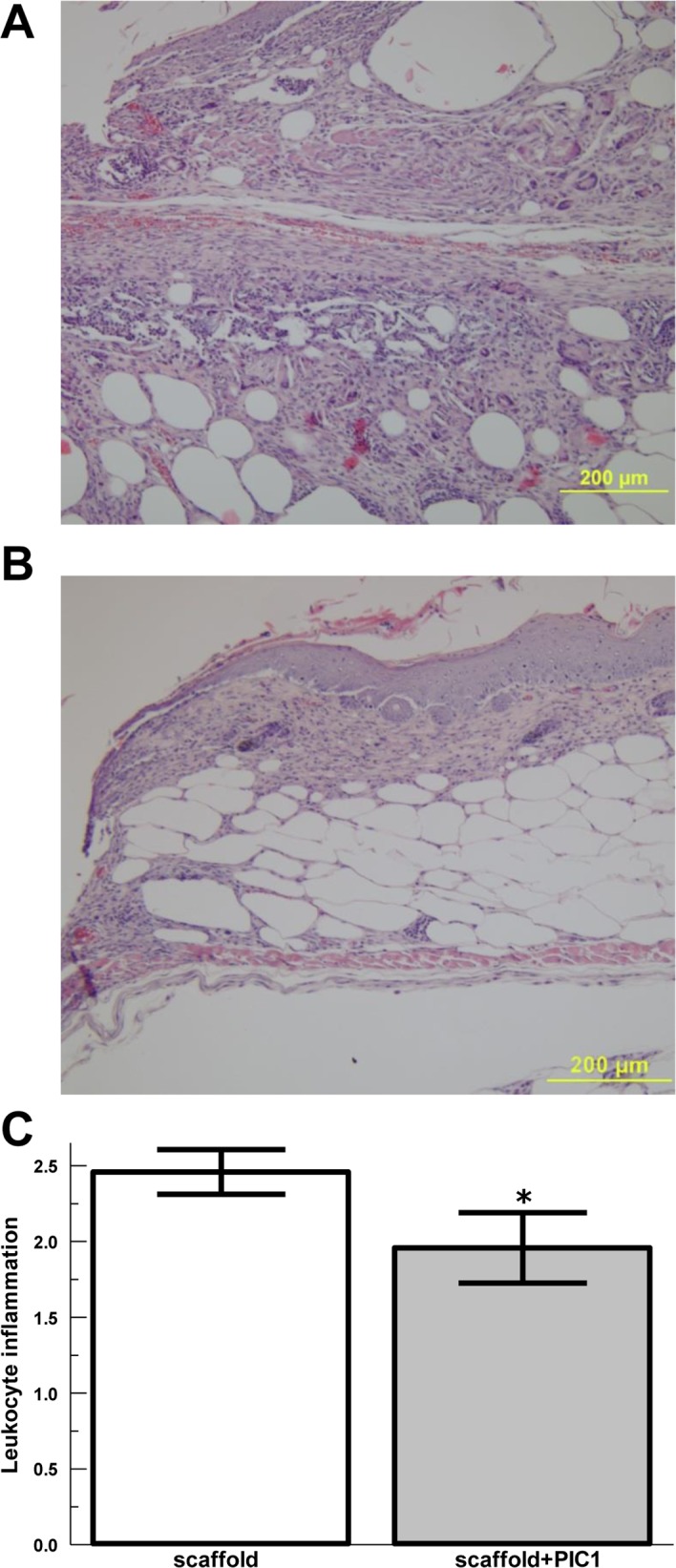 Fig 5