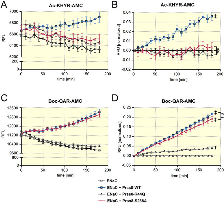 Figure 2: