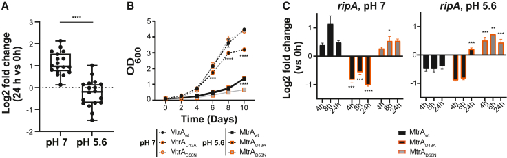 Figure 3