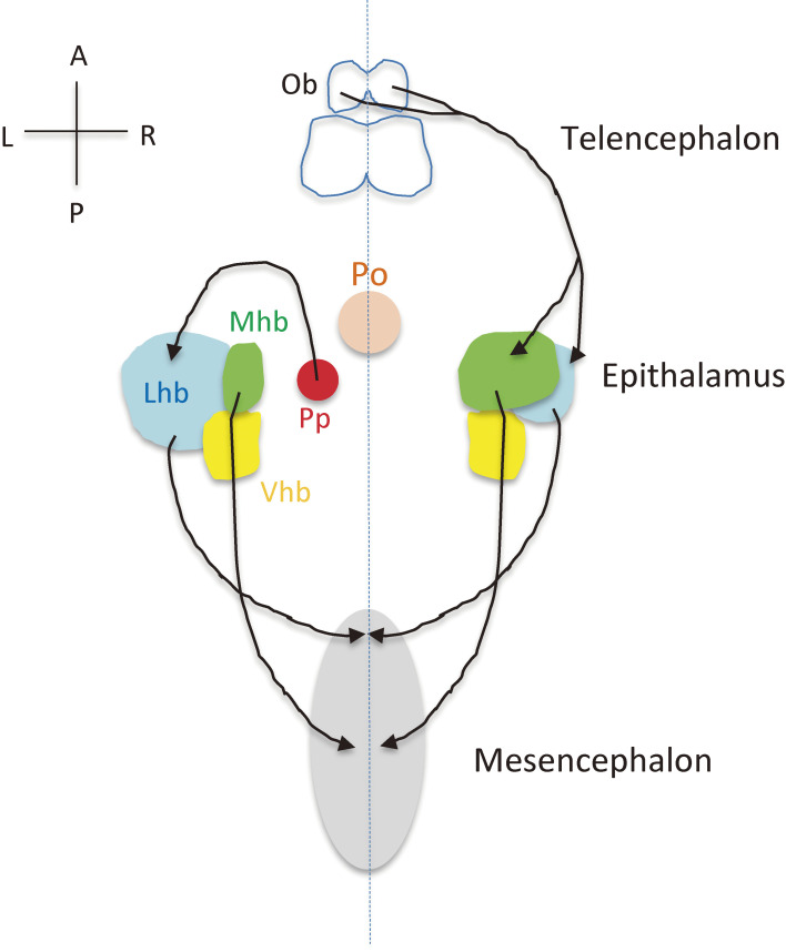 Figure 13. 