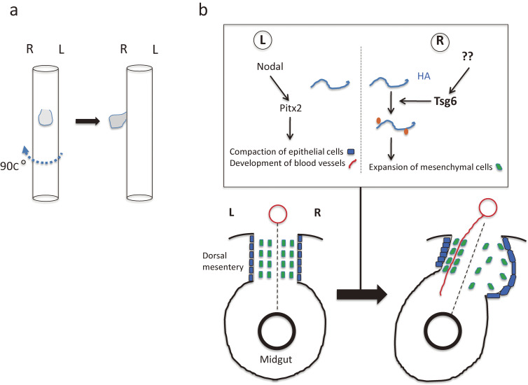 Figure 12. 