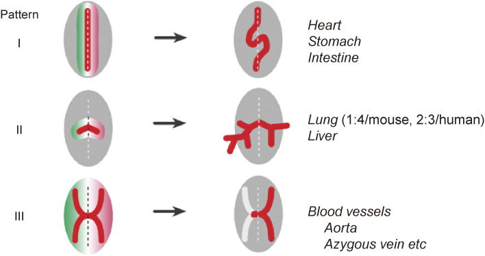 Figure 9. 