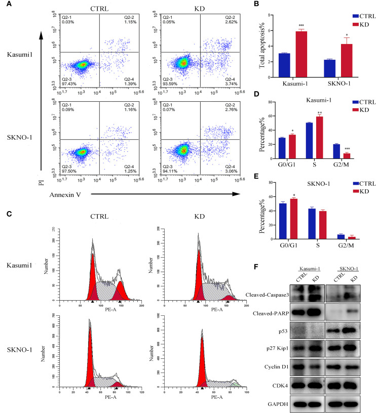 Figure 4